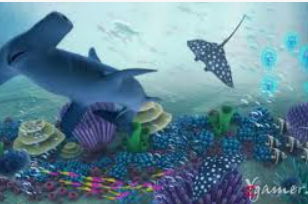 云开足球平台2024最新版